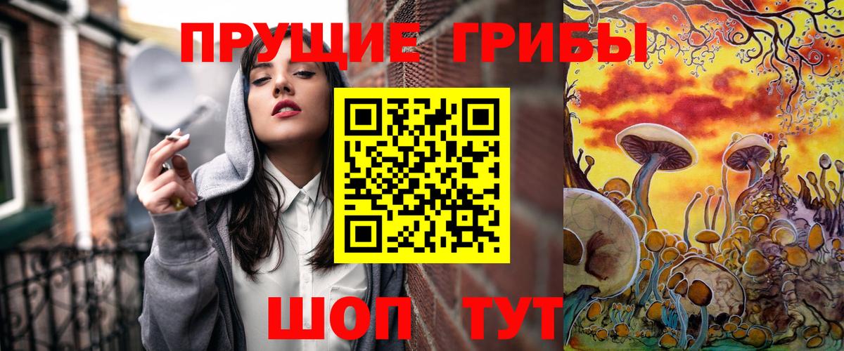 Галлюциногенные грибы Magic Shrooms Курчалой